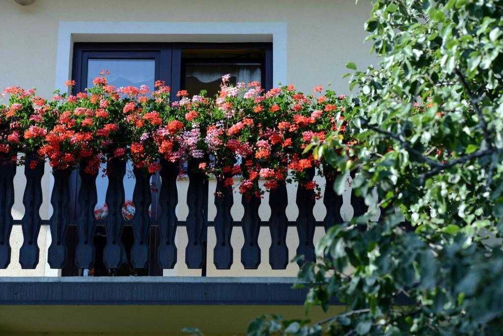 Apartment House Koprivnik Zreče Kültér fotó